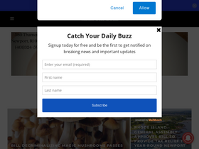 'thenewportbuzz.com' screenshot