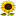 fourcowfarm.com.au