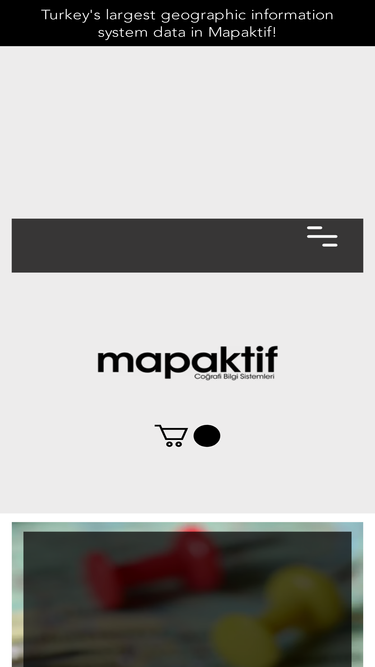 mapaktif.com