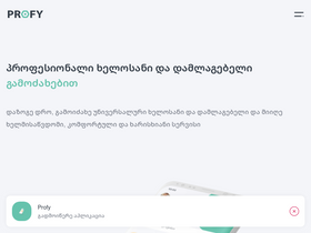 profy.ge