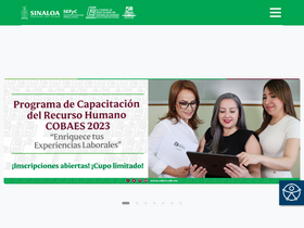 'cobaes.edu.mx' screenshot