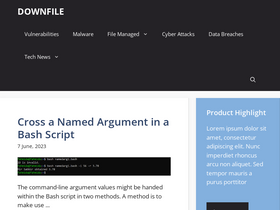 'downfile.site' screenshot