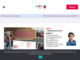 'snes.edu' screenshot