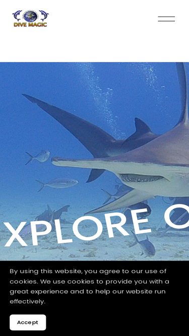 divemagic.com