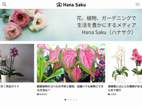 'hanasaku-gift.com' screenshot