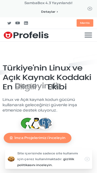 profelis.com.tr