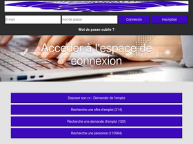 'professionnallink.com' screenshot