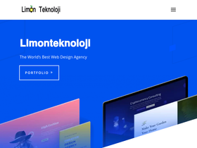 limonteknoloji.com
