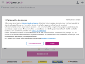 '1001pneus.fr' screenshot