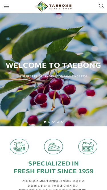 taebongfresh.com