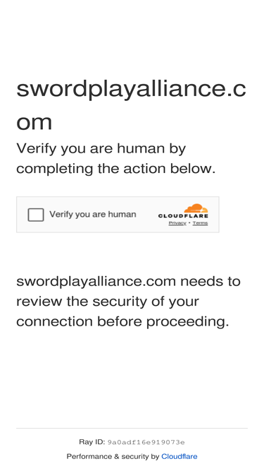 swordplayalliance.com