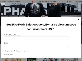 ekkovision.com