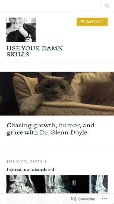 useyourdamnskills.com