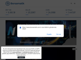 'borsamatik.com.tr' screenshot