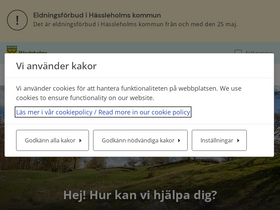 'hassleholm.se' screenshot