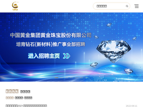 'chnau99999.com' screenshot