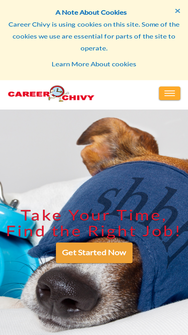 careerchivy.com