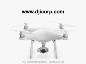 djicorp.com