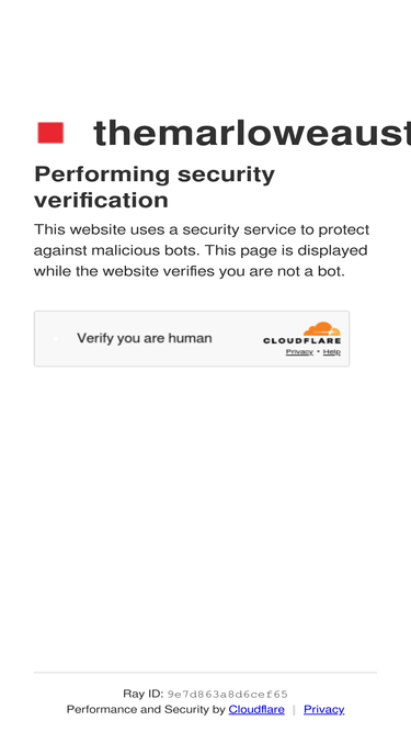 themarloweaustin.com