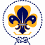 guiasyscoutsdechile.org