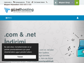 'guzel.net.tr' screenshot