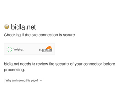 'bidla.net' screenshot