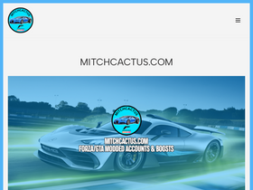 GTA 5 MODDED ACCOUNTS - PS5 - MONEY & RP - MitchCactus