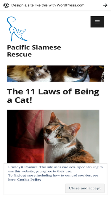 pacificsiameserescue.wordpress.com