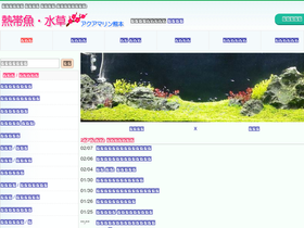 'iwoya.com' screenshot