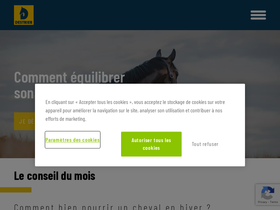 destrier.com