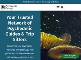 'psychedelicpassage.com' screenshot