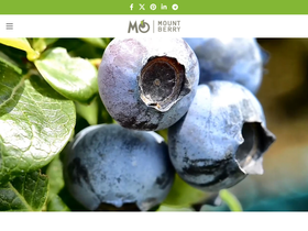 mountberry.sk