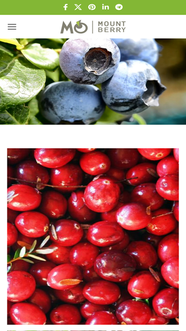 mountberry.sk
