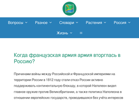 'shnurovik.ru' screenshot