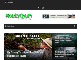 'moldychum.com' screenshot