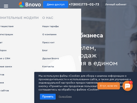 'bnovo.ru' screenshot