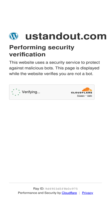 ustandout.com