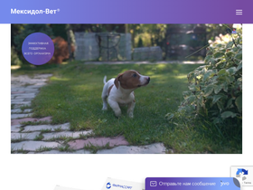 mexidol-vet.ru