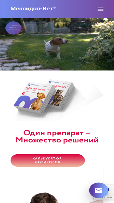 mexidol-vet.ru