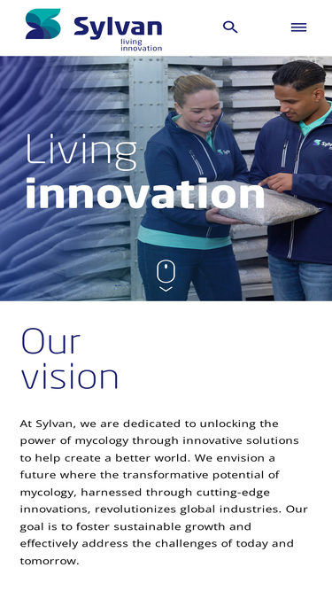sylvaninc.com