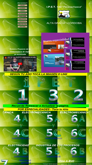 ipet132.com