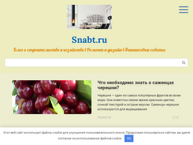 'snabt.ru' screenshot
