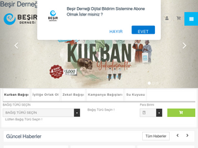 'besir.org.tr' screenshot