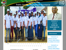 'ajira.go.tz' screenshot