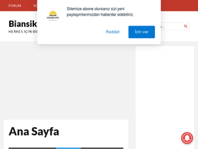 'biansiklopedi.com' screenshot