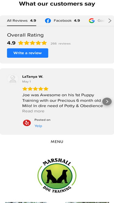 maggiedogtraining.com