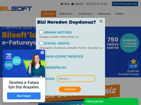 'bilsoft.com' screenshot