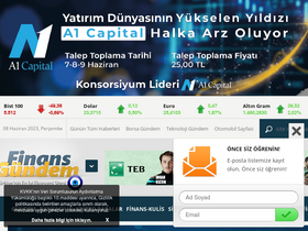 'finansgundem.com' screenshot