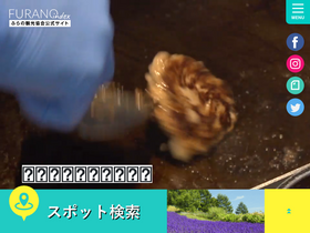 'furanotourism.com' screenshot