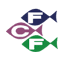 fcf.com.tw